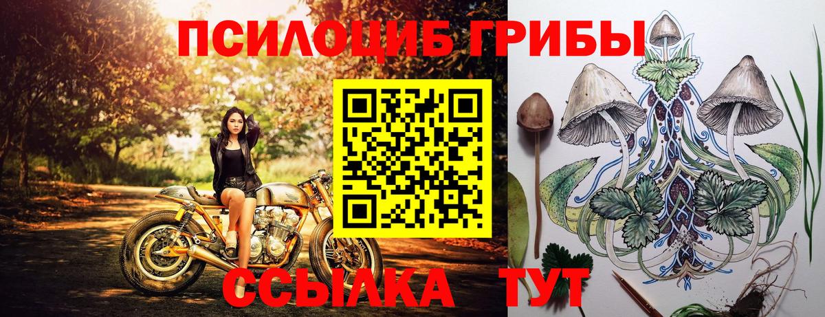 Псилоцибиновые грибы мицелий Вичуга